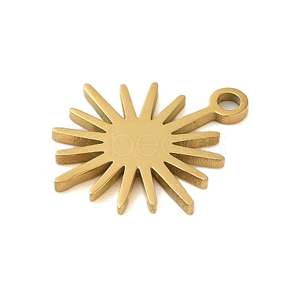 304 Stainless Steel Charms STAS-S123-01G-04-1