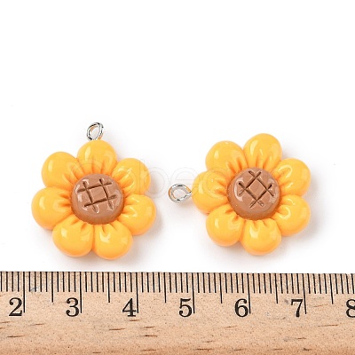 Opaque Resin Pendants FIND-Z092-06P-1