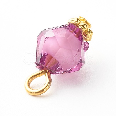 Transparent Acrylic Charms PALLOY-JF00877-1