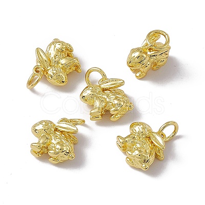 Rack Plating Brass Charms X-KK-C007-17G-1
