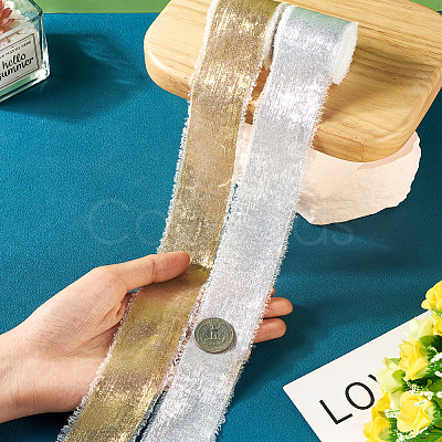 2 Rolls 2 Styles Hot Stamping Velvet Frayed Ribbon OCOR-TA0002-06-1