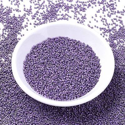 MIYUKI Delica Beads X-SEED-J020-DB1185-1