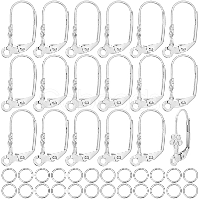 50Pcs 304 Stainless Steel Leverback Earring Findings DIY-BBC0001-59-1