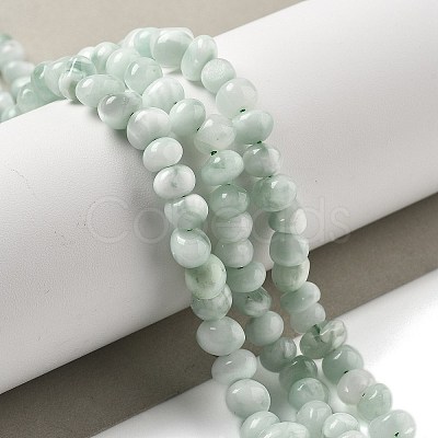 Natural Glass Beads Strands G-Q024-D02-01-1