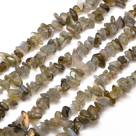 Natural Labradorite Chip Bead Strands G-M205-13-1