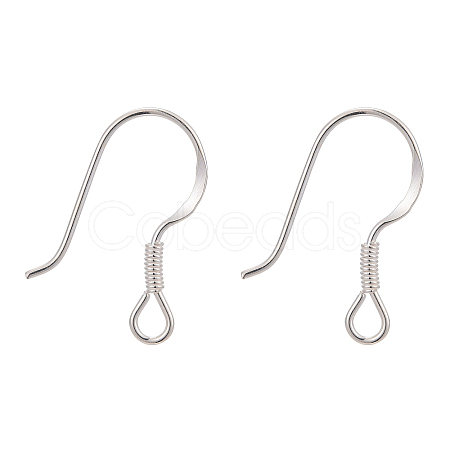 925 Sterling Silver Earring Hooks STER-G011-09-1