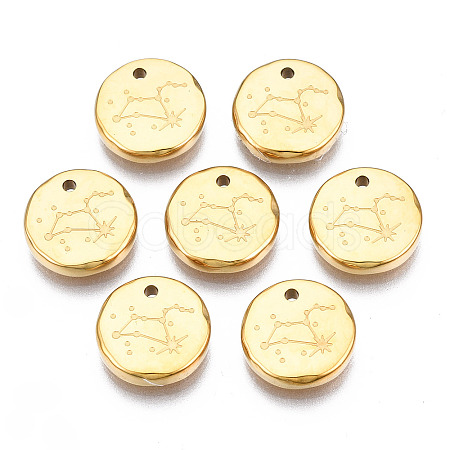 316 Surgical Stainless Steel Charms LS-STAS-S116-418H-G-1