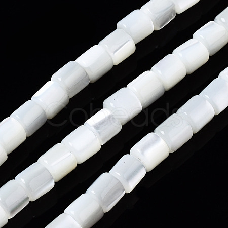 Natural Trochid Shell/Trochus Shell Beads Strands SSHEL-N034-77-A01-1