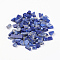 Natural Lapis Lazuli Beads, No Hole/Undrilled, Chips, 5~8x2~5mm, about 50g/bag