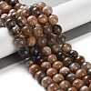 Natural Black Sunstone Beads Strands G-U009-A01-04-2