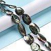 Natural Abalone Shell/Paua Shell Beads SSHEL-E379-1-2