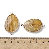 Natural Picture Jasper Connector Charms G-C110-02E-KCG-3