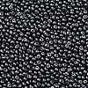 6/0 Glass Seed Beads SEED-L011-08A-10-3