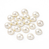 Shell Pearl Half Drilled Beads X-BSHE-G011-01-12mm-1