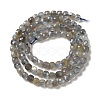 Natural Labradorite Beads Strands G-D470-10-2