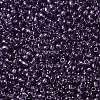 TOHO 11/0 Round Beads X-SEED-TR11-0019-2