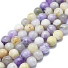 Natural Purple Opal Beads Strands G-K245-A07-D04-1