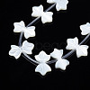 Natural White Shelll Beads Strands SSHEL-S278-123B-4