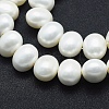 Shell Pearl Beads Strands BSHE-F001-02B-3