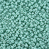 6/0 Glass Seed Beads SEED-T005-14-B25-3
