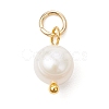 Natural Cultured Freshwater Pearl Two Sides Polished Charms PALLOY-JF04036-01-3