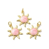 Rack Plating Brass Enamel Pendants KK-D074-05G-2