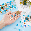 Glass European Beads FIND-HS0001-24A-3