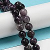 Grade A Natural Fluorite Beads Strands G-R494-A13-03-4