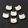 Natural White Shell Beads SHEL-G014-10A-01-1