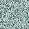 11/0 FGB Grade A Round Glass Seed Beads SEED-N001-B-0487-2