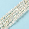 Natural Keshi Pearl Beads Strands PEAR-E018-66-2