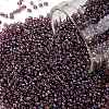 TOHO Round Seed Beads SEED-JPTR15-0166B-1