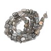 Natural Labradorite Beads Strands G-G018-24-3