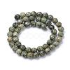 Natural Serpentine/Green Lace Stone Bead Strands G-R411-11-6mm-2