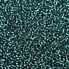MIYUKI Delica Beads X-SEED-J020-DB0607-3