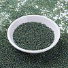 MIYUKI Round Rocailles Beads X-SEED-G007-RR0288-2
