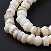 Natural Cultured Freshwater Shell Beads Strands SHEL-F002-01D-5