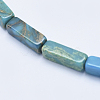 Natural Aqua Terra Jasper Beads Strands G-E444-15A-3