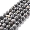 Natural Map Stone/Picasso Stone/Picasso Jasper Beads Strands G-G047-8mm-1