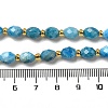 Natural Apatite Beads Strands G-H297-C03-01-4
