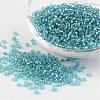 8/0 Glass Seed Beads X-SEED-A005-3mm-23-1