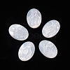 Natural White Shell Cabochons LS-SSHEL-D083-14-1