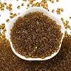Glass Seed Beads SEED-L011-02B-05-2