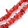 Natural Freshwater Shell Beads Strands X-SHEL-S278-071A-1