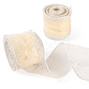 Polyester Deco Mesh Ribbons OCOR-TAC0024-004F-2