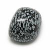 Natural Snowflake Obsidian Gemstone Beads G-S218-09-2