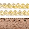 Crackle Transparent Glass Beads Strands GLAA-N063-10mm-09-2