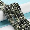 Natural Silver Line Jasper Beads Strands G-Z042-B01-03-2