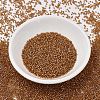 MIYUKI Delica Beads X-SEED-J020-DB1734-2