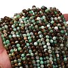 Natural Serpentine Beads Strands LS-G-RM250101-D8-6mm-2